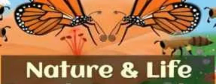 NATURE AND LIFE DRUNK ON NECTAR Free Download